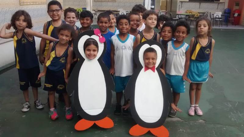 Curiosidades da vida dos Pinguins